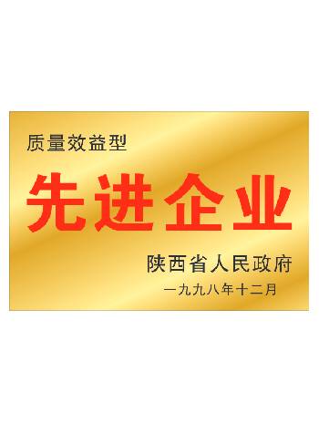 質(zhì)量先進(jìn)企業(yè)